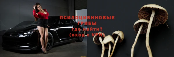 прущие крисы Алексеевка