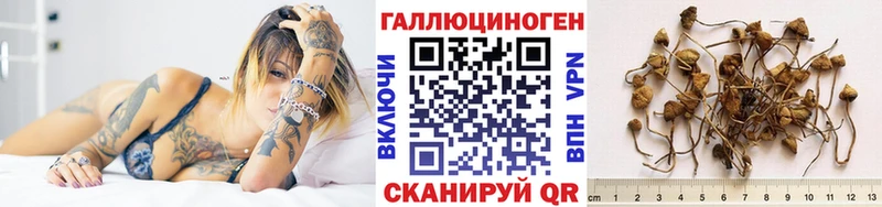 как найти   Новая Ляля  Галлюциногенные грибы Magic Shrooms 